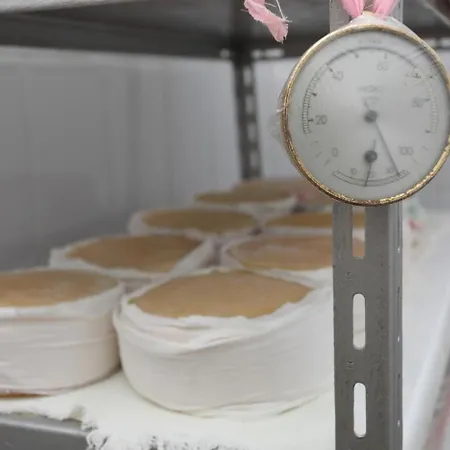 Inatel Ruiva 4* Vila Ruiva (Guarda)