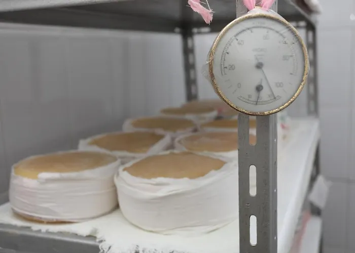 Inatel Ruiva 4* Vila Ruiva (Guarda)